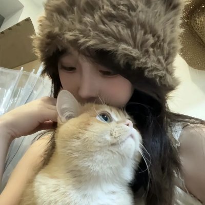 蛊惑狗寻宝